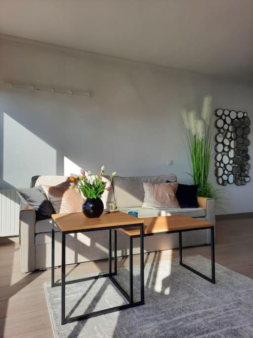 בנידורם Murtal Apartment מראה חיצוני תמונה